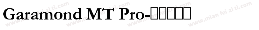 Garamond MT Pro字体转换